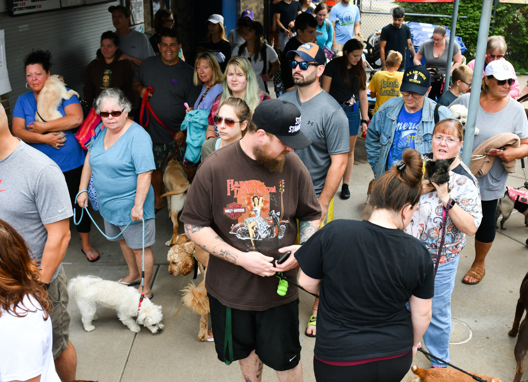 082919-bet-doggysplash-005a.JPG